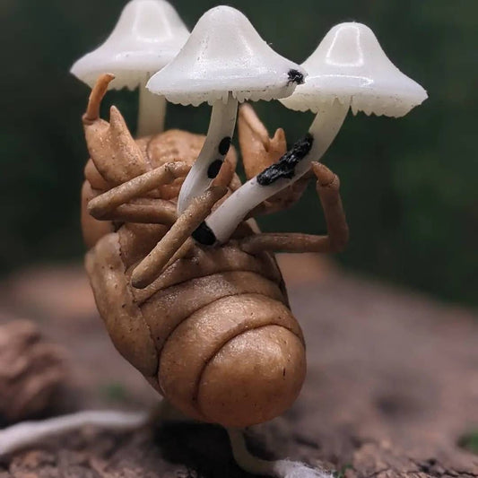 threetreecrafts Sculptures & Statues Cicada Nymph with Mushrooms & Mycelium Stand