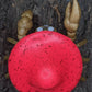 threetreecrafts Sculptures & Statues Crab Pseudo Scorpion with Amanita Mushroom