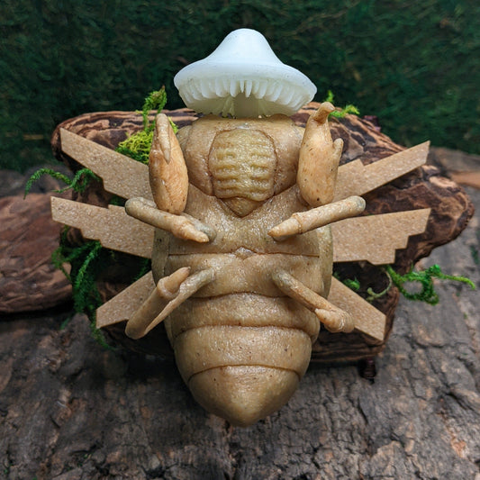 threetreecrafts Sculptures & Statues Shedinja Inspired Cicada Nymph with Mushroom & Driftwood Stand